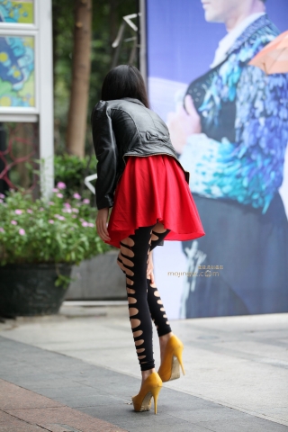 leggings长腿mm[14P]